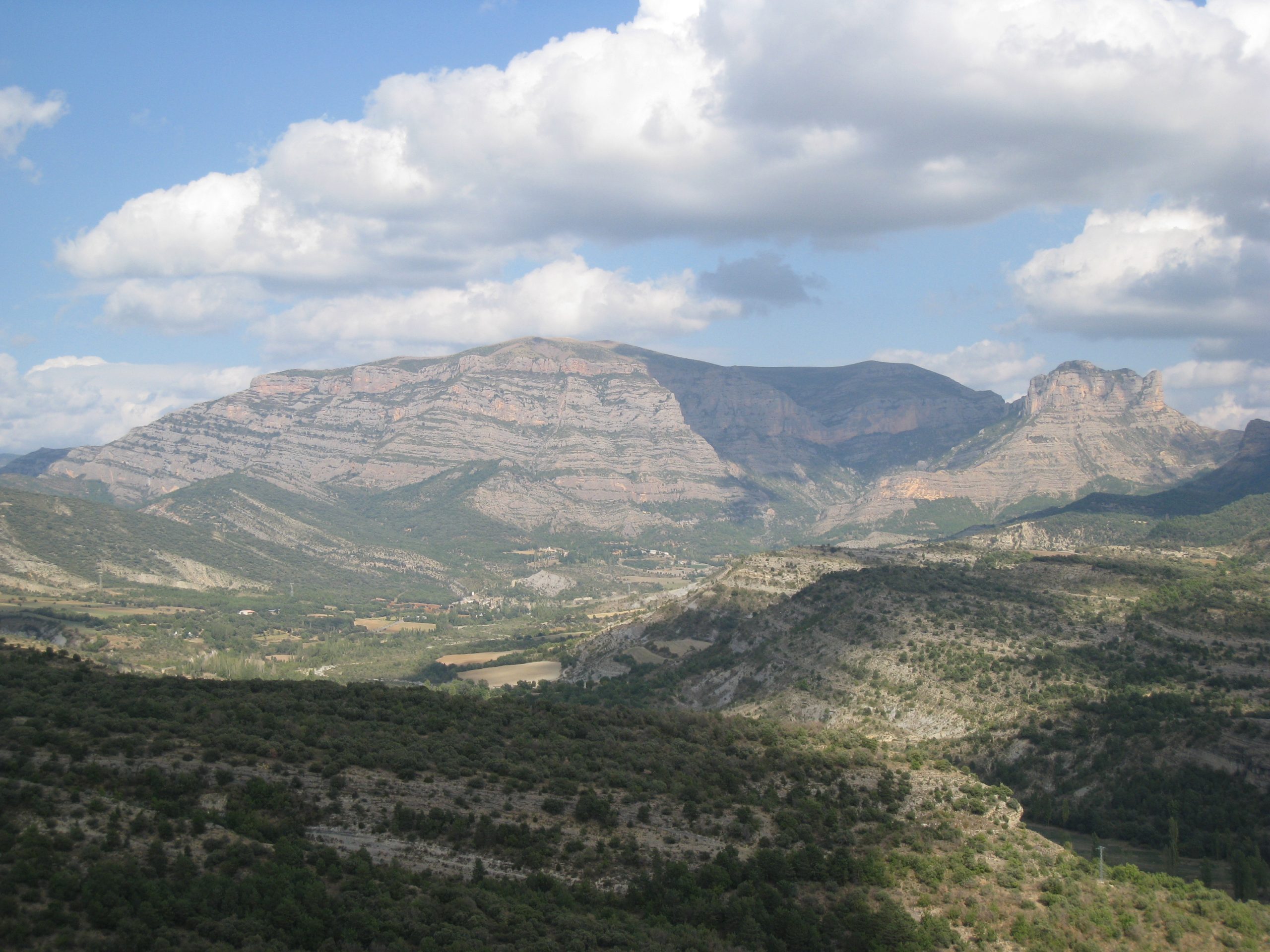 Basin-Scale Stratigraphy (Source-to-Sink): Basins of the Pyrenean Foreland, Spain (G117)